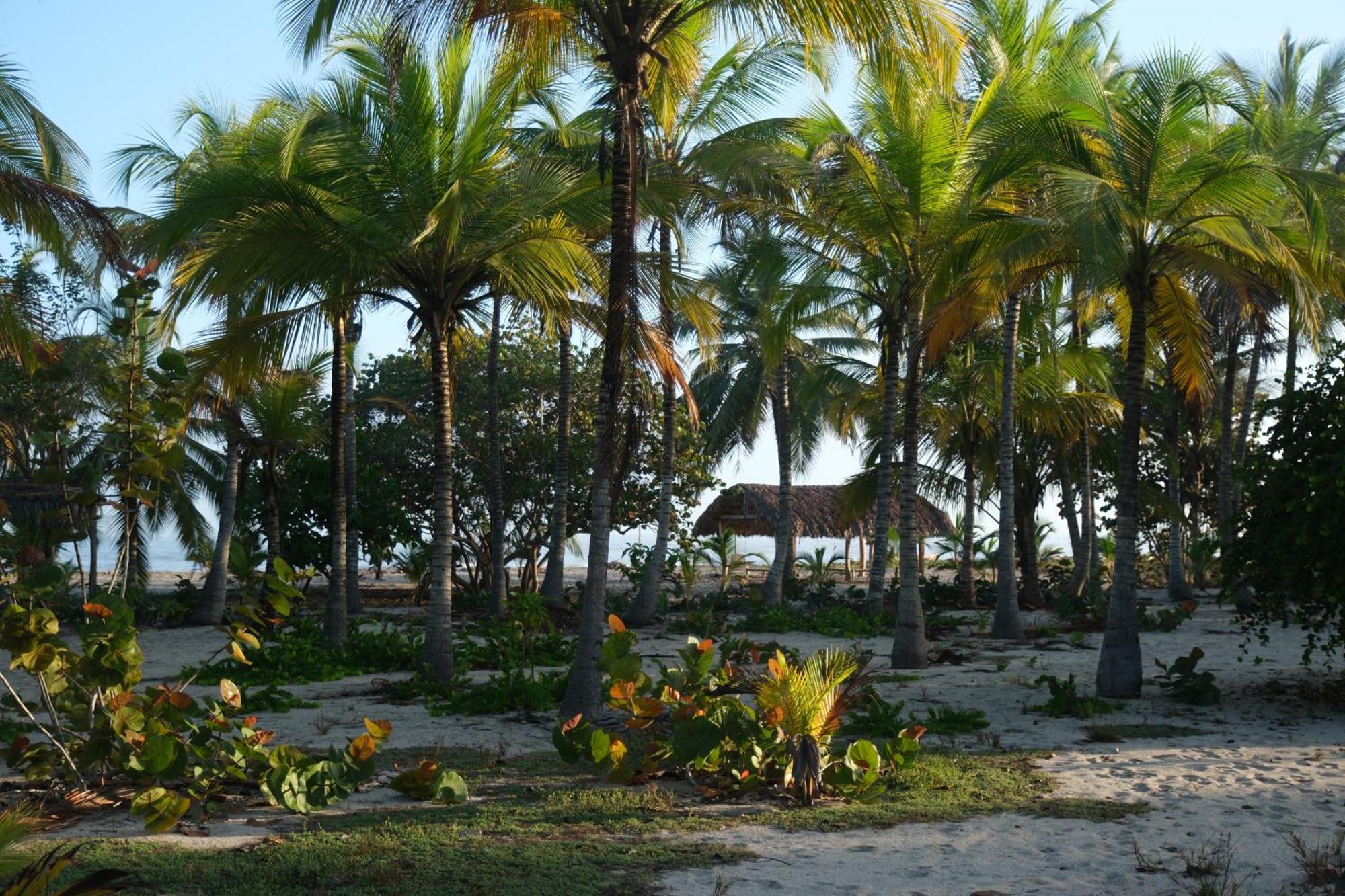 בוריטאקה Hotel Playa Bonita Tayrona מראה חיצוני תמונה