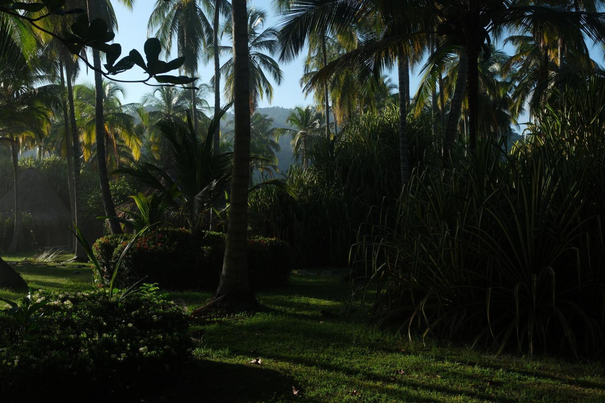בוריטאקה Hotel Playa Bonita Tayrona מראה חיצוני תמונה